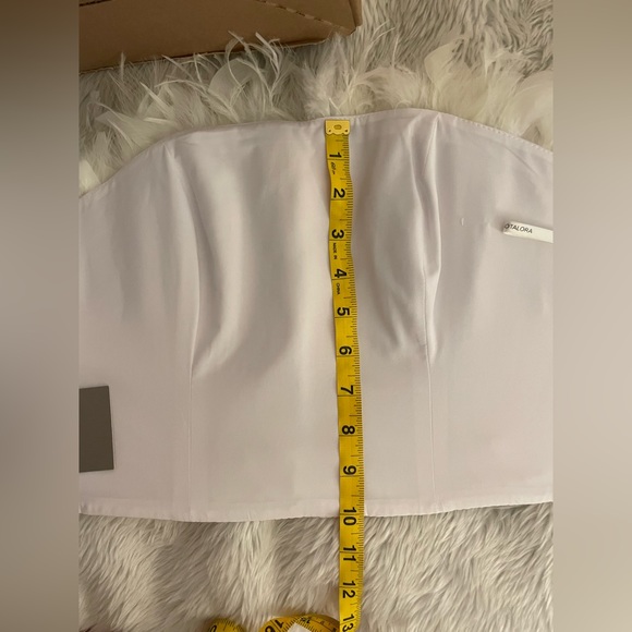 NWT 30% Off-Andres Otalora Brassavola Feather-Embellished Silk-Organza Top -US 6 - Picture 13 of 14